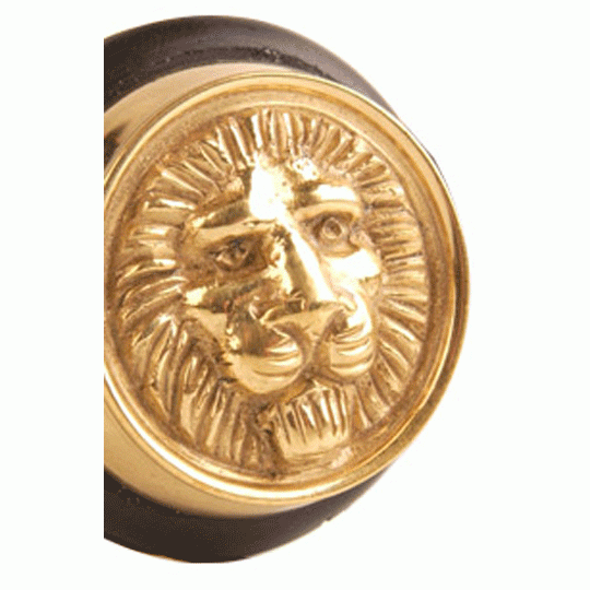 Lion Head Brass Floor Mount Door Stop (Several Finishes Available)