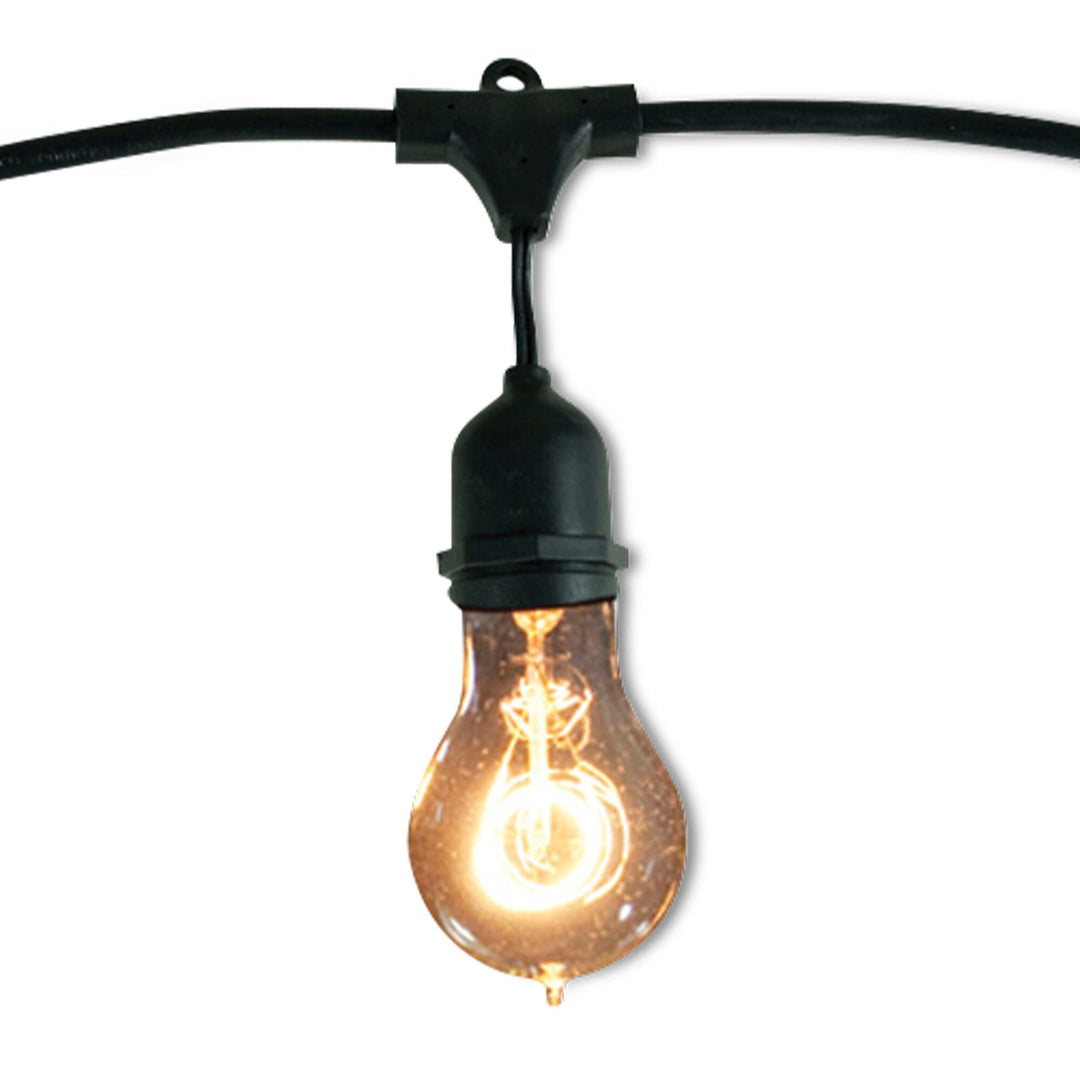 Bulbrite 48' STRING LIGHT SET W/NOSTALGIC A19 LAMPS-2PK