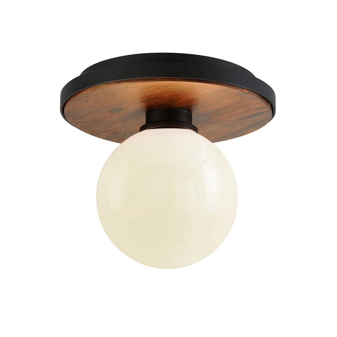 Troy Lighting 