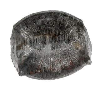 1 Pound Standard Slating Nails ACORN MANUFACTURING